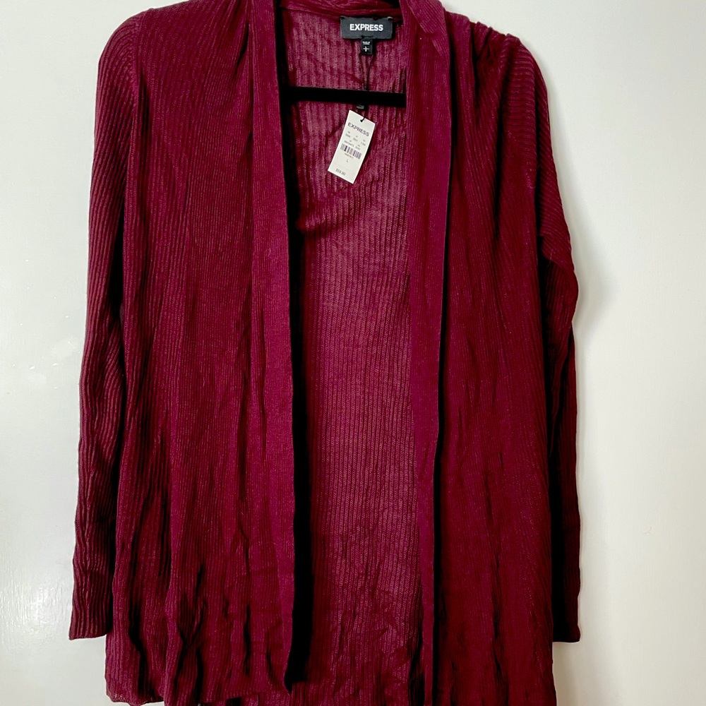 Express large maroon sweater